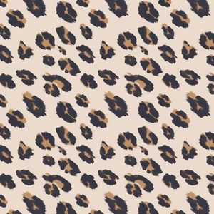 Meet your Posher, Shelby